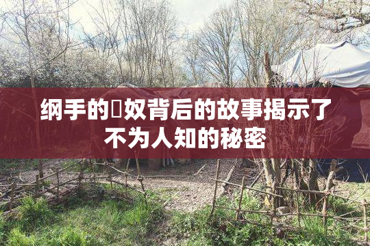 纲手的婬奴背后的故事揭示了不为人知的秘密