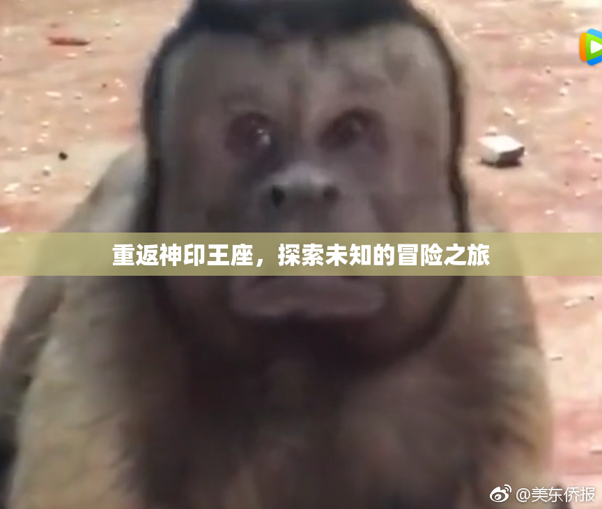 重返神印王座，探索未知的冒险之旅