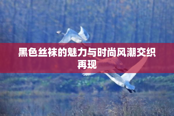 黑色丝袜的魅力与时尚风潮交织再现