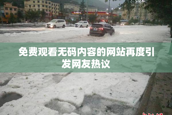 免费观看无码内容的网站再度引发网友热议