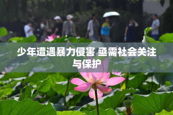 少年遭遇暴力侵害 亟需社会关注与保护