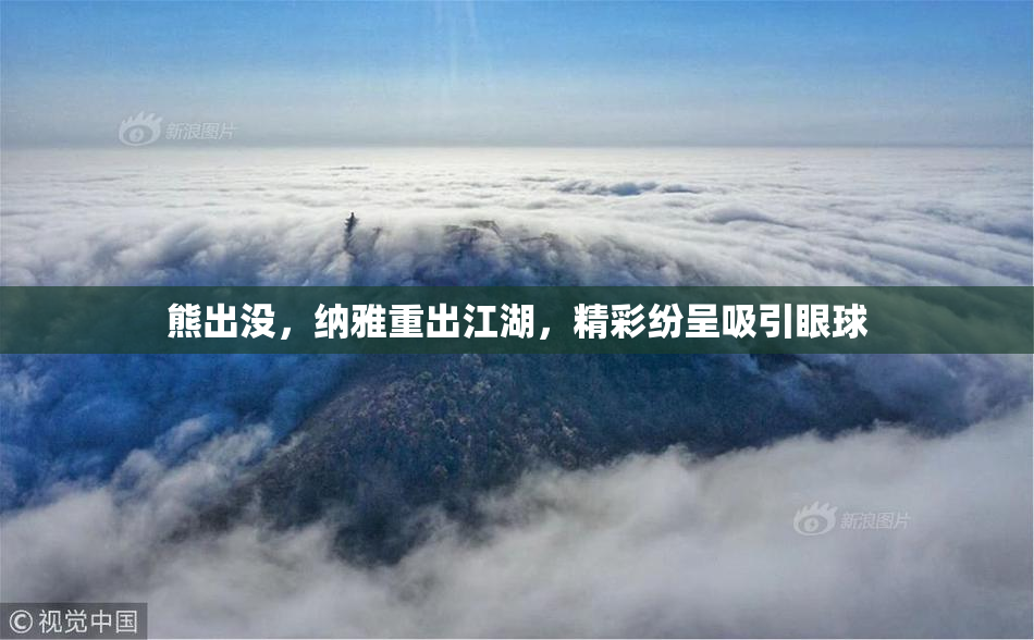 熊出没，纳雅重出江湖，精彩纷呈吸引眼球