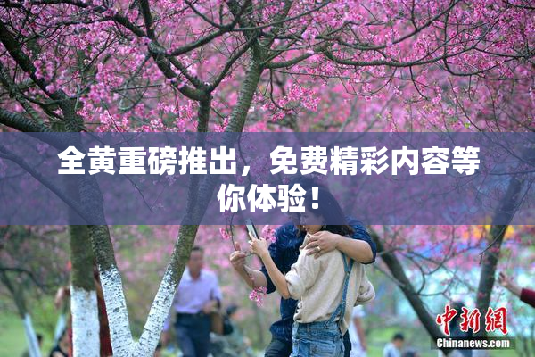 全黄重磅推出，免费精彩内容等你体验！