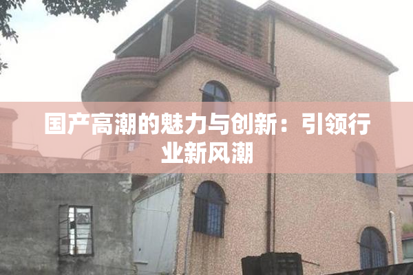 国产高潮的魅力与创新：引领行业新风潮