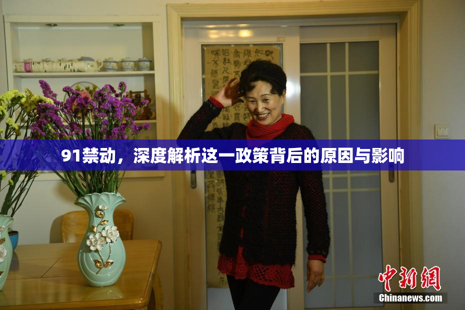 91禁动，深度解析这一政策背后的原因与影响