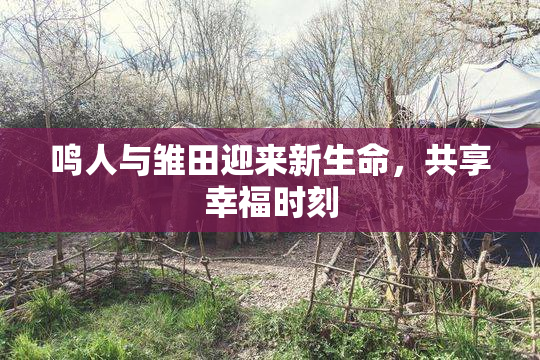 鸣人与雏田迎来新生命，共享幸福时刻