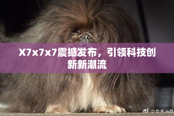 X7x7x7震撼发布，引领科技创新新潮流