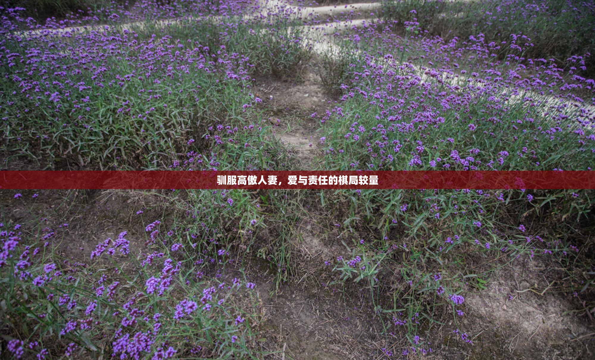 驯服高傲人妻，爱与责任的棋局较量
