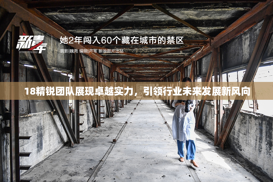 18精锐团队展现卓越实力，引领行业未来发展新风向