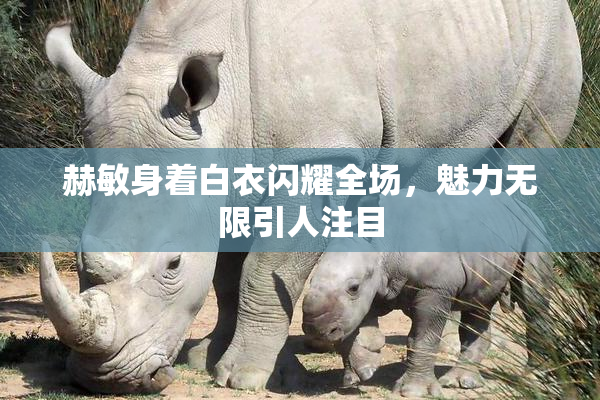 赫敏身着白衣闪耀全场，魅力无限引人注目