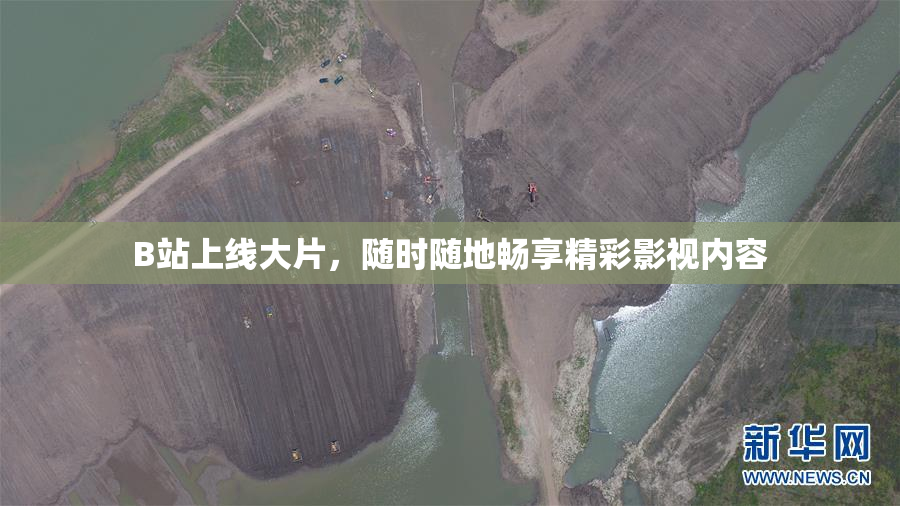 B站上线大片，随时随地畅享精彩影视内容