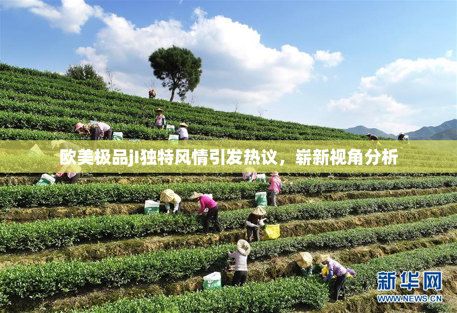 欧美极品jI独特风情引发热议，崭新视角分析
