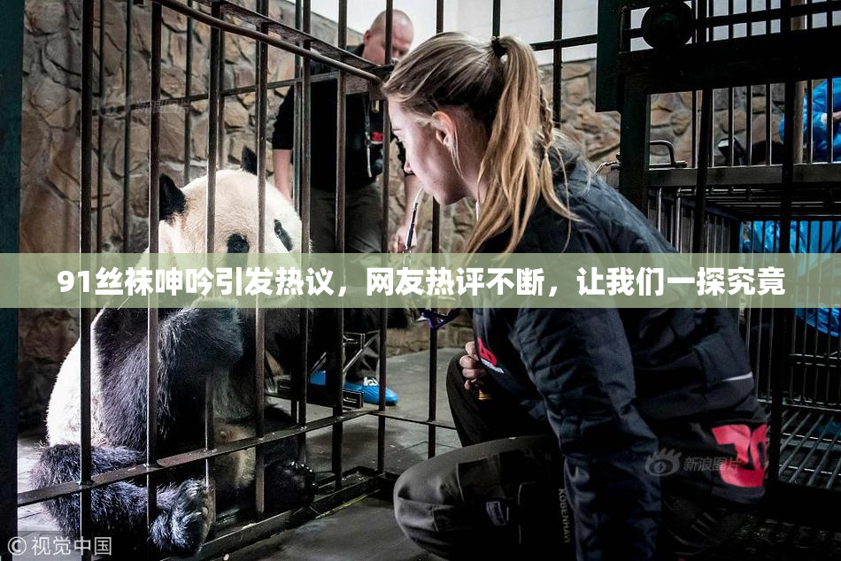 91丝袜呻吟引发热议，网友热评不断，让我们一探究竟