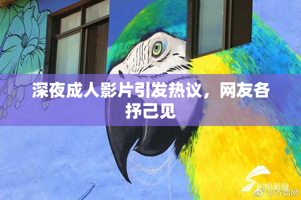 深夜成人影片引发热议，网友各抒己见