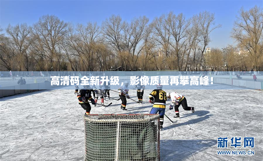 高清码全新升级，影像质量再攀高峰！