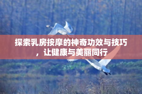探索乳房按摩的神奇功效与技巧，让健康与美丽同行