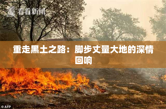 重走黑土之路：脚步丈量大地的深情回响