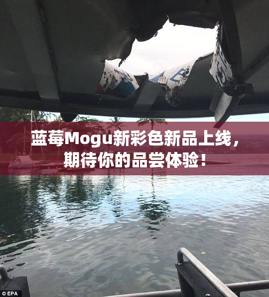 蓝莓Mogu新彩色新品上线，期待你的品尝体验！