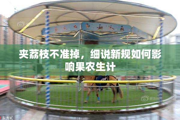 夹荔枝不准掉，细说新规如何影响果农生计