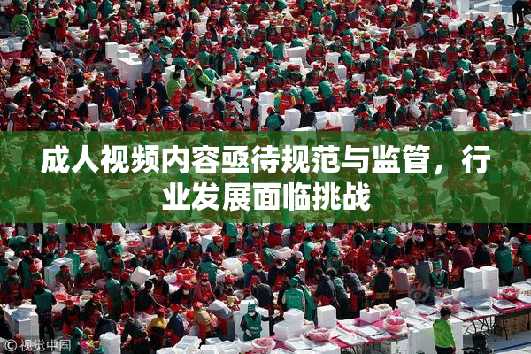 成人视频内容亟待规范与监管，行业发展面临挑战
