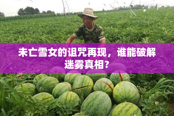 未亡雪女的诅咒再现，谁能破解迷雾真相？