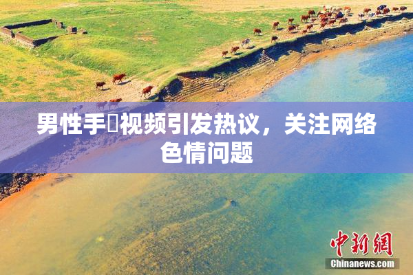 男性手婬视频引发热议，关注网络色情问题