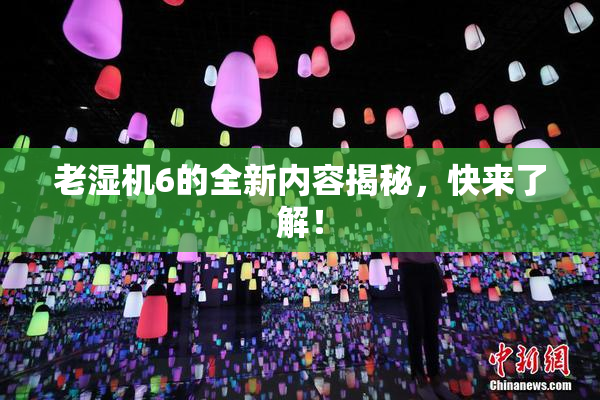 老湿机6的全新内容揭秘，快来了解！