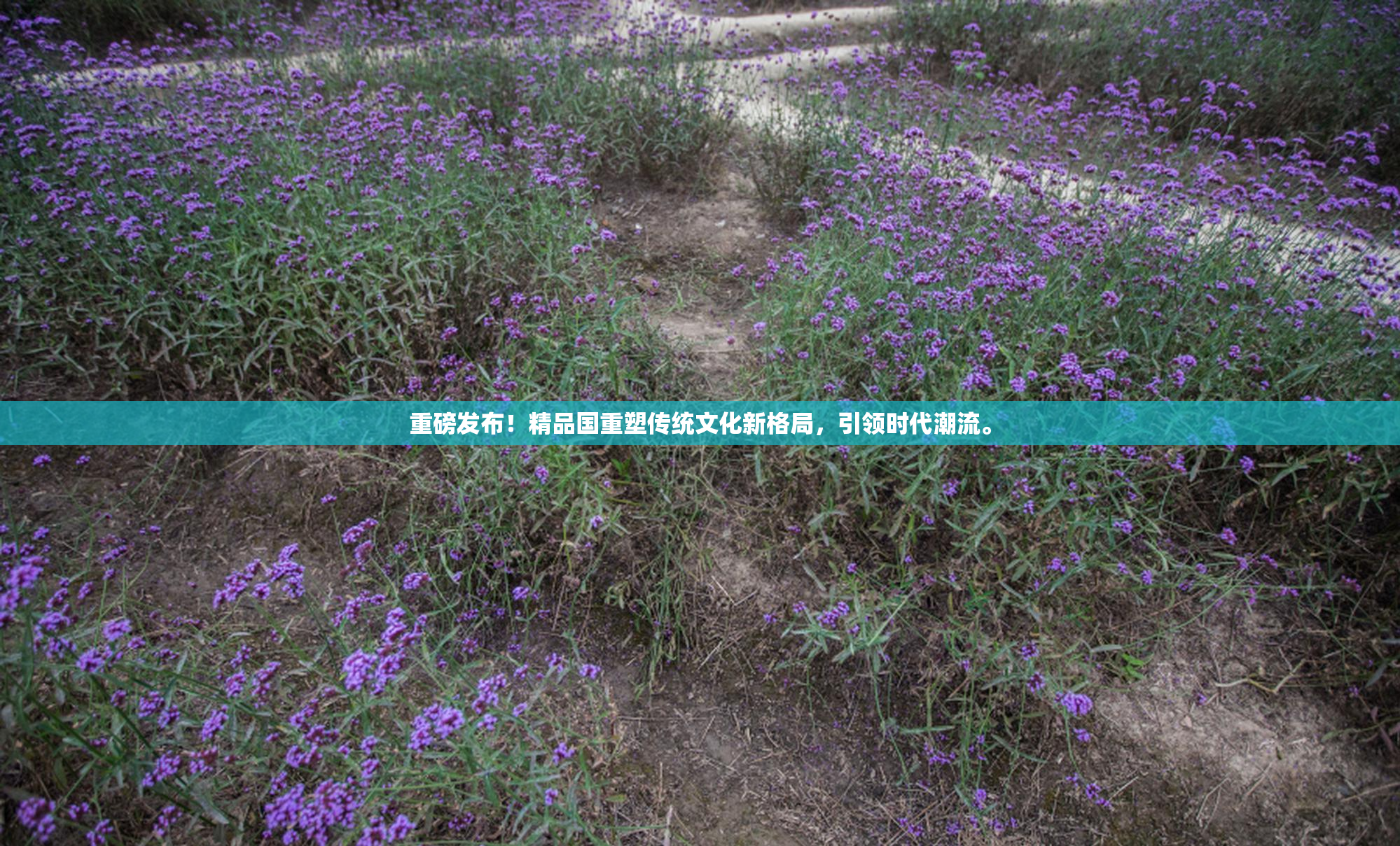 重磅发布！精品国重塑传统文化新格局，引领时代潮流。