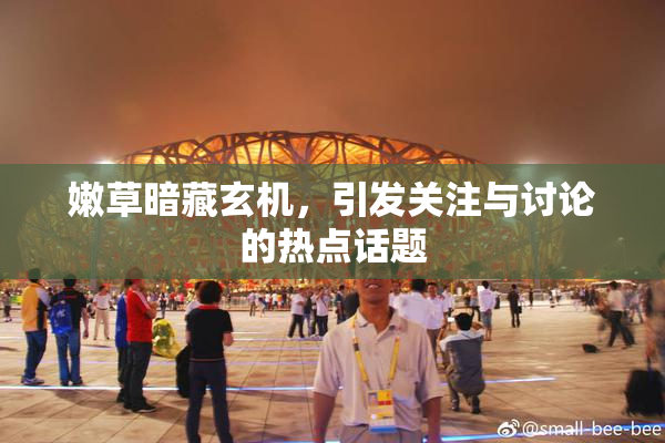 嫩草暗藏玄机，引发关注与讨论的热点话题