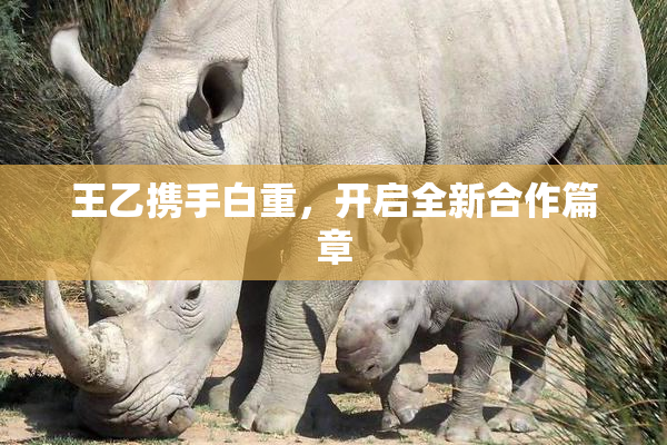 王乙携手白重，开启全新合作篇章
