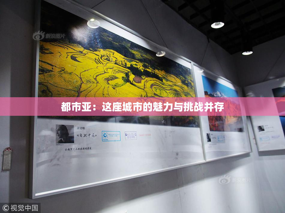 都市亚：这座城市的魅力与挑战并存