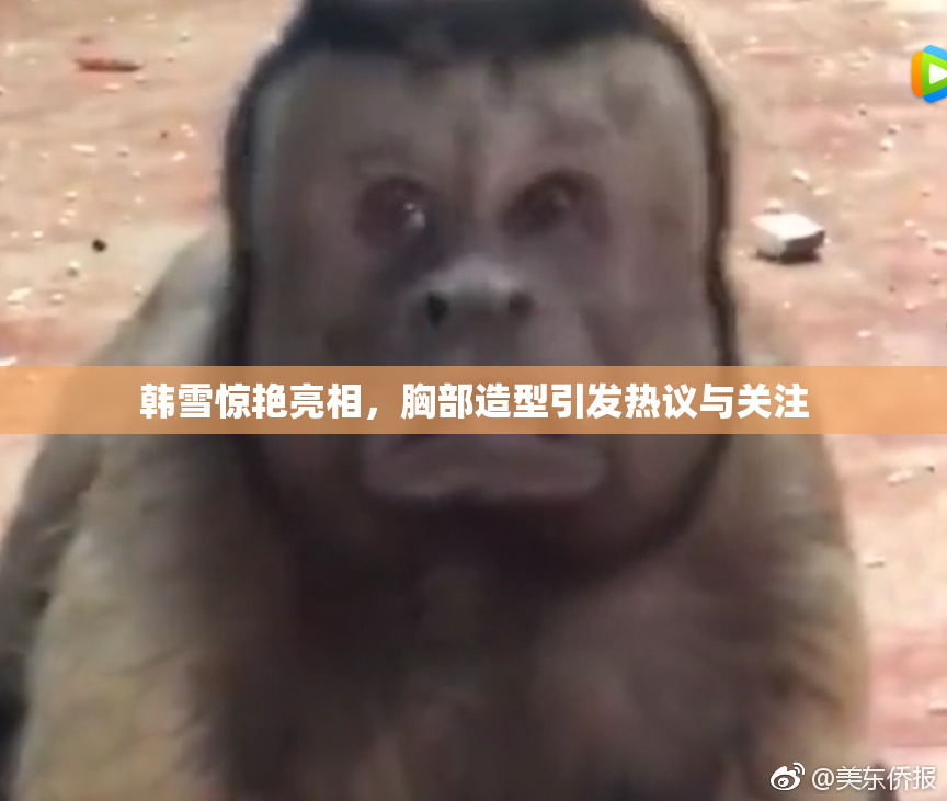 韩雪惊艳亮相，胸部造型引发热议与关注