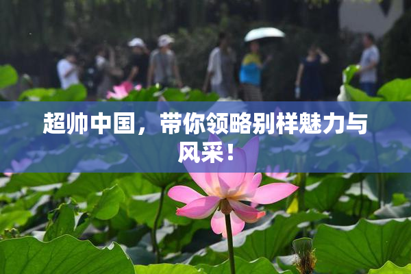 超帅中国，带你领略别样魅力与风采！