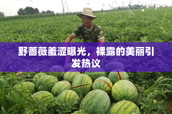 野蔷薇羞涩曝光，裸露的美丽引发热议