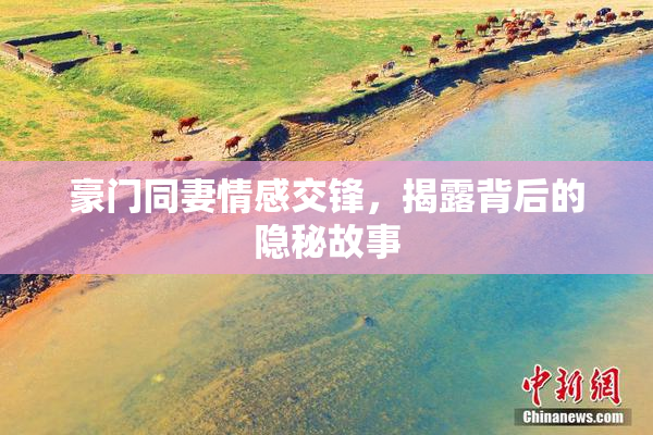 豪门同妻情感交锋，揭露背后的隐秘故事