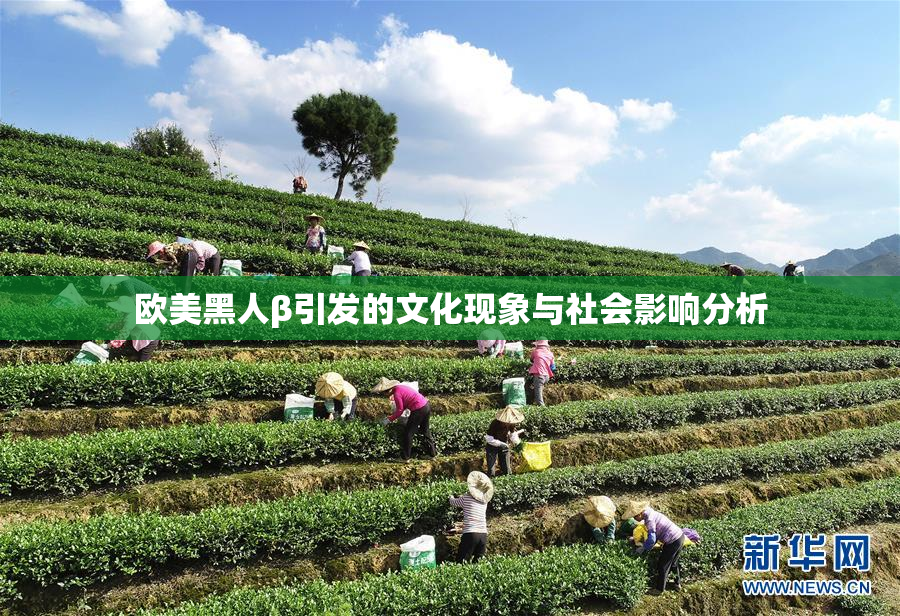 欧美黑人β引发的文化现象与社会影响分析