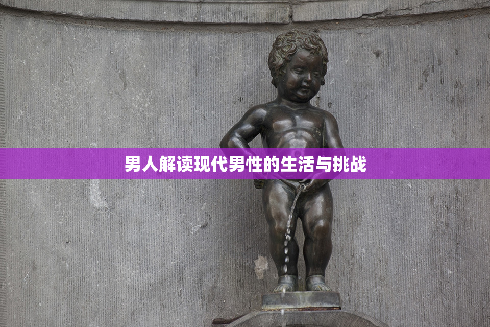 男人解读现代男性的生活与挑战