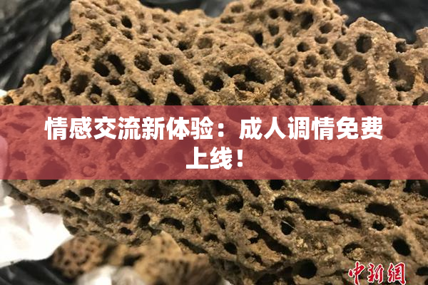 情感交流新体验：成人调情免费上线！