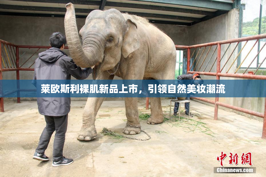 莱欧斯利裸肌新品上市，引领自然美妆潮流