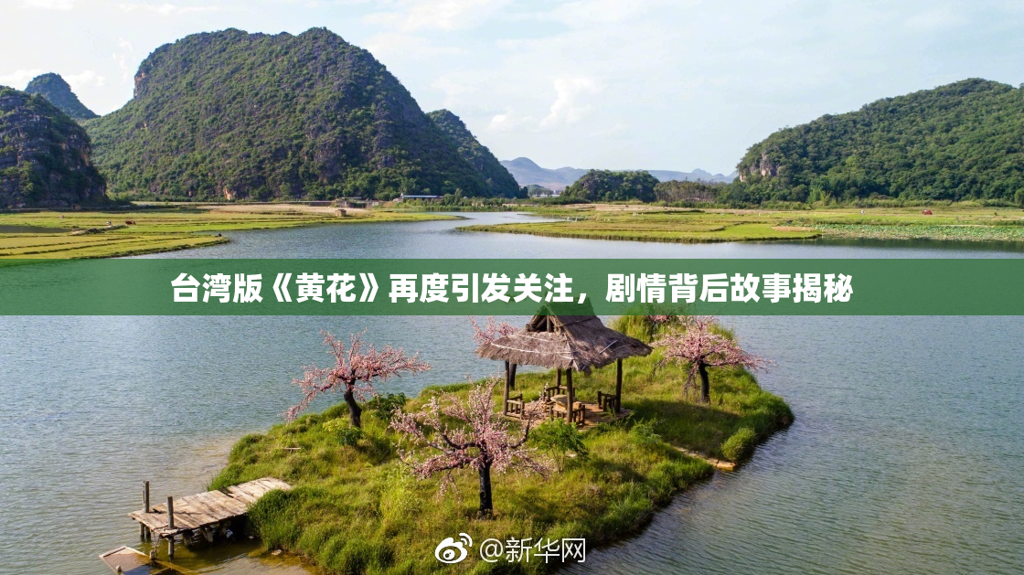 台湾版《黄花》再度引发关注，剧情背后故事揭秘