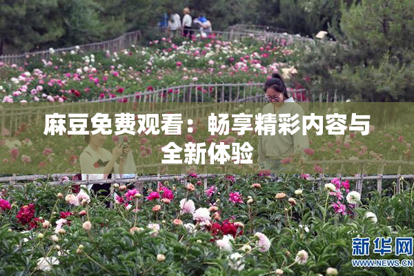 麻豆免费观看：畅享精彩内容与全新体验