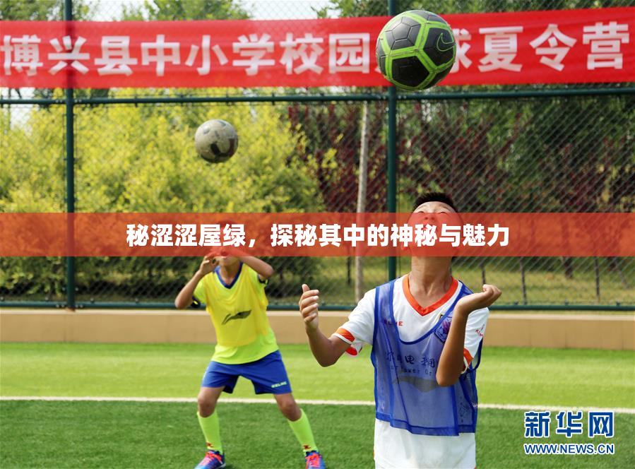 秘涩涩屋绿，探秘其中的神秘与魅力