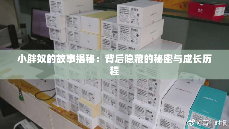 小胖奴的故事揭秘：背后隐藏的秘密与成长历程