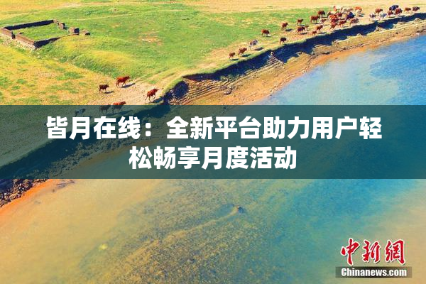 皆月在线：全新平台助力用户轻松畅享月度活动