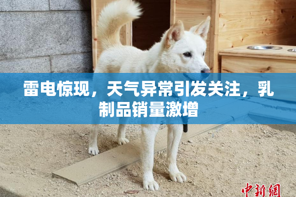 雷电惊现，天气异常引发关注，乳制品销量激增