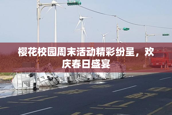 樱花校园周末活动精彩纷呈，欢庆春日盛宴