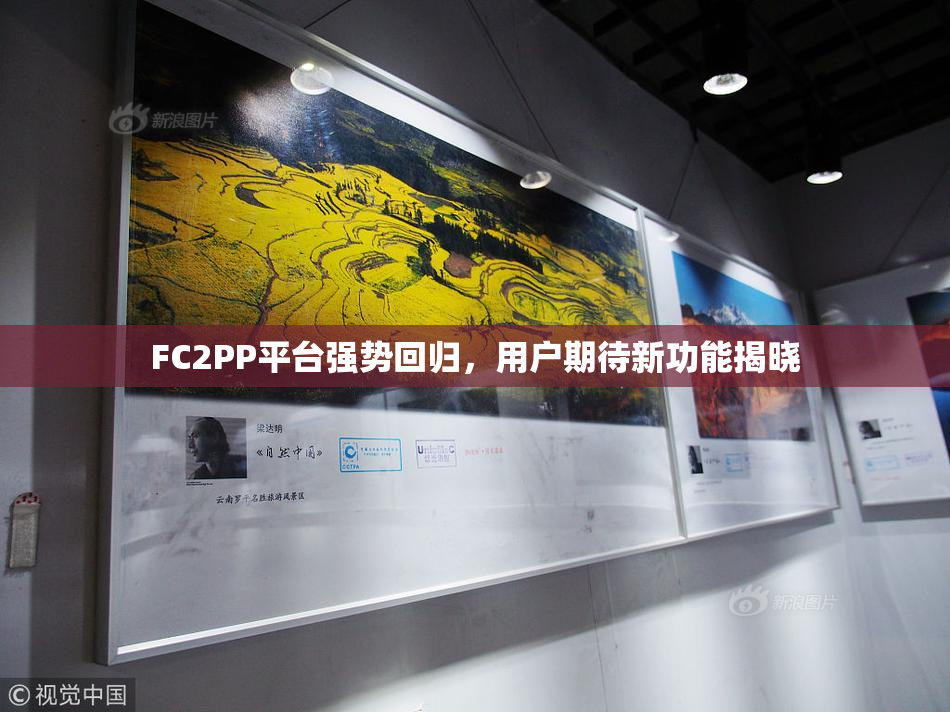 FC2PP平台强势回归，用户期待新功能揭晓