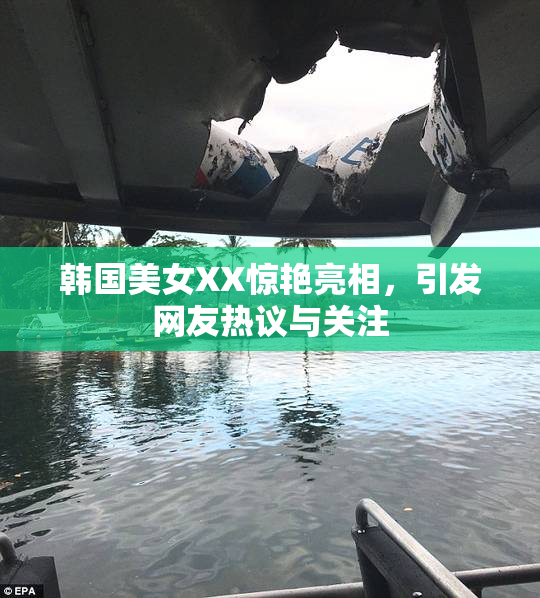 韩国美女XX惊艳亮相，引发网友热议与关注