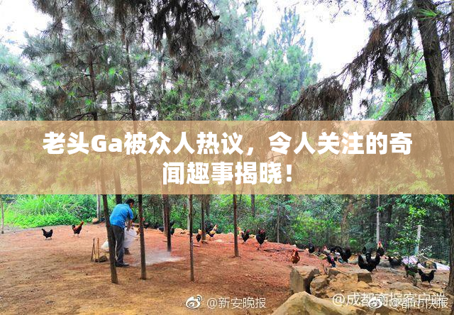老头Ga被众人热议，令人关注的奇闻趣事揭晓！