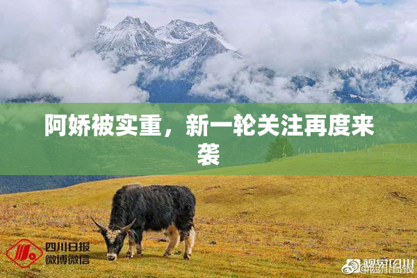 阿娇被实重，新一轮关注再度来袭